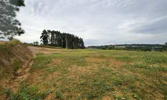 Imagem 6: Vendo terreno pronto pra construir