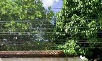 Imagem: Terreno em Avenida