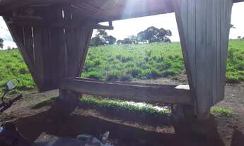 Imagem 5: Fazenda Rosário Oeste