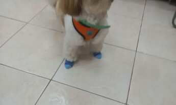 Imagem 2: Alugo kitnet Casa com 1 dormitório