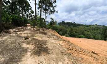 Imagem 7: Área 20.003m² Campo Largo, Bateias, doc 100%, lavoura, bosque, rio