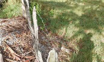 Imagem 2: Mini Chácara Rural