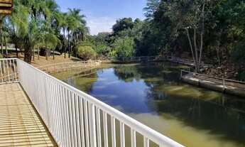 Imagem 6: Imóvel para venda com 600 metros quadrados com 5 quartos em Setor Central - Três Ranchos