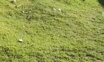 Imagem: Lote em condomínio em Rua Santa Quitéria