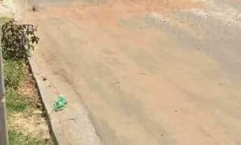 Imagem 6: TERRENO NA CIDADE OPERÁRIA