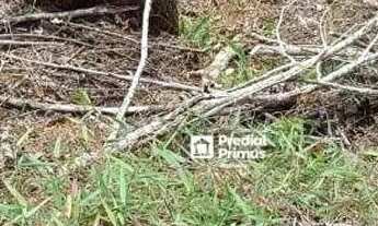 Imagem: Terreno à venda, 873 m² por R$ 180.000,00