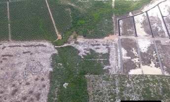 Imagem 7: Loteamento Caminho das Flecheiras