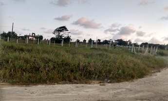 Imagem 5: Lote/Terreno para venda possui 450 metros quadrados em Praia Bela - Pitimbu - Paraíba