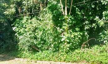 Imagem 2: Terreno para venda em Guapimirim (próximo à Casa do Queijo