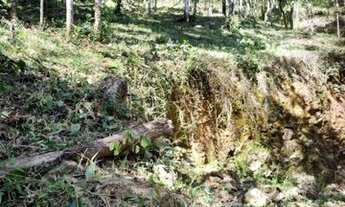 Imagem 7: Vendo Maravilhoso Terreno