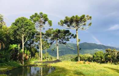 Imagem 12: Terreno Rural com Cabana