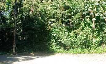 Imagem 5: Terreno para venda em Guapimirim (próximo à Casa do Queijo