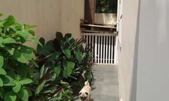 Imagem 7: Sobrado Venda Jardim São Caetano <br>3 Suites 4 Vagas Imperdível SCS