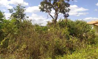 Imagem 6: Lote no bairro Nova Esmeraldas- Esmeraldas