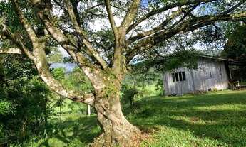 Imagem 3: Fazenda/Sítio/Chácara para venda com 80000 metros quadrados com 1 quarto