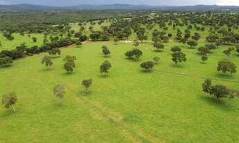 Imagem: Fazenda - Santa Terezinha de Goiás (GO