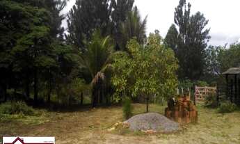 Imagem 4: SITIOMata de São João