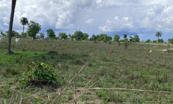 Imagem 6: Fazenda a venda com 154 alqueires em Nova Crixas - GO