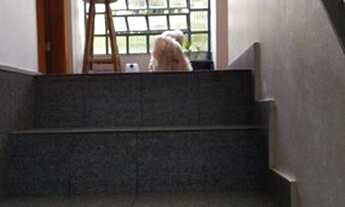 Imagem 3: Lindo Sobrado! Casa com 3 dormitórios