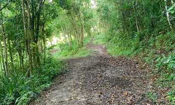 Imagem 7: Fazenda/Sítio/Chácara para venda com 80000 metros quadrados com 1 quarto
