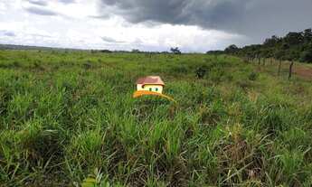 Imagem: Fazenda para Venda, Área rural com expansão