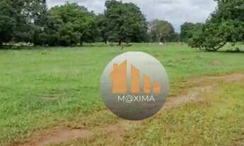 Imagem 7: Fazenda à venda, 580 alqueires por R$ 92.800.000 - Britânia/GO