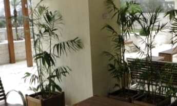 Imagem 3: Centro comercial para aluguel e venda com 22 metros quadrados em Madureira - Rio de Janeir