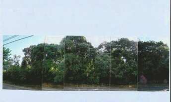 Imagem 2: CURITIBA - RESIDENCIAL - SANTA FELICIDADE