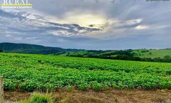 Imagem: Fazenda de 308 alqueires em Santa Cruz de
