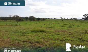 Imagem: Fazenda com dupla aptidão na região de