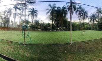 Imagem 7: Excelente Chácara em Senador Canedo