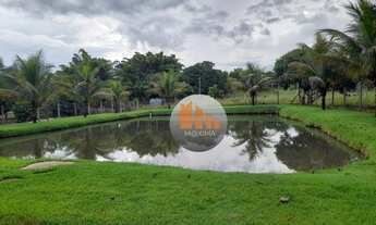 Imagem 4: Chácara à venda, 60.000 m² - Trindade/GO