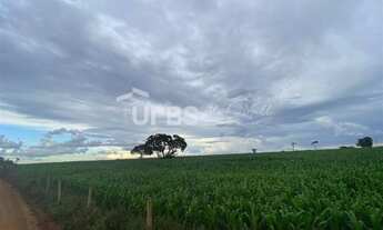 Imagem 5: Fazenda/Sítio/Chácara para venda tem 288000 metros quadrados