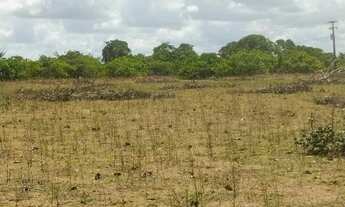 Imagem 7: Granja com 4.7 hectares entre Macaíba e vera cruz