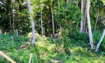 Imagem 6: Blumenau - Terreno Padrão - Velha