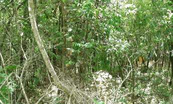 Imagem 2: Nova Lima - Loteamento/Condomínio - Pasárgada