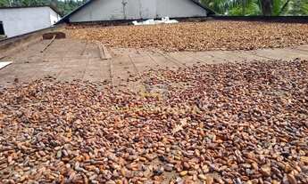 Imagem 3: Ubaitaba - Fazenda - Zona Rural de Ubaitaba