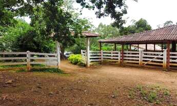 Imagem 6: Vendo Sitio Próximo ao ABC no Goiás