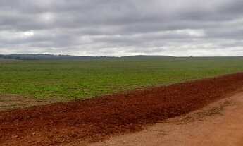 Imagem 6: Fazenda Município Ipameri - GO