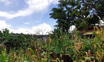 Imagem 9: Lote de Esquina murado muro alto escorrido para frente com 492,89 metros sendo 17 metros d