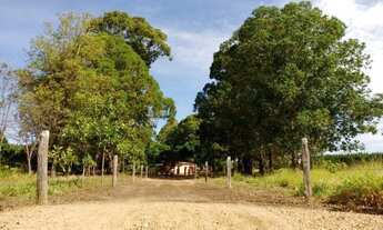 Imagem 6: Fazenda para Venda em Niquelândia, Rural, 3 dormitórios, 2 banheiros, 5 vagas