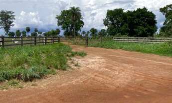 Imagem 4: Fazenda a venda com 154 alqueires em Nova Crixas - GO