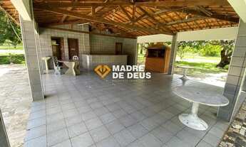 Imagem 4: HORIZONTE - Sítio - Cajueiro da Malhada