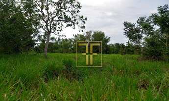 Imagem 5: Fazenda 254 Alqueires Mundo Novo, GO