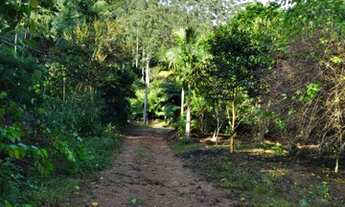 Imagem 5: Sítio a venda - Nova Trento - SC