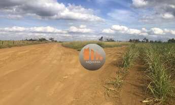 Imagem 2: Fazenda à venda, 644 alqueires por R$ 400.000.000 - Acreúna/GO