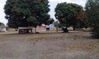 Imagem 7: Fazenda para Venda em Niquelândia, Rural, 3 dormitórios, 2 banheiros, 5 vagas