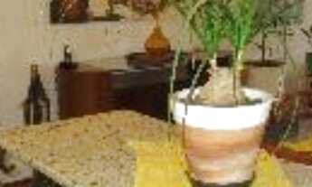 Imagem 6: São Paulo - Apartamento Padrão - VILA CLEMENTINO