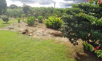 Imagem 3: Chácara na região do Rio manso