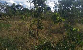 Imagem 3: Vendo Chácara em Padre Lúcio. - Padre Bernardo - Goiás